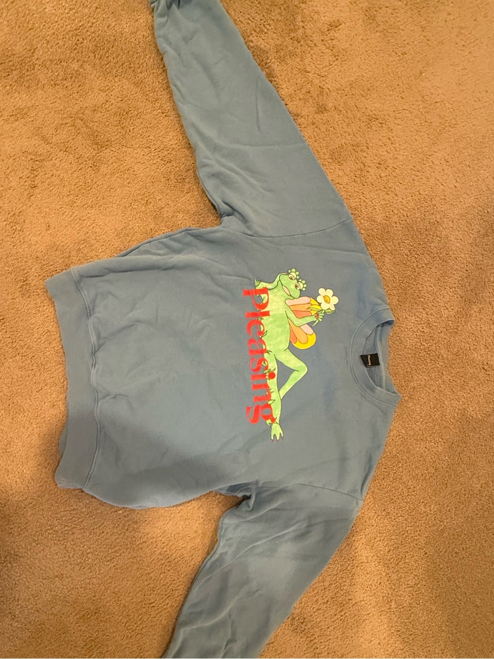 Pleasing Harry Styles x Fleetwood Mac Sweatshirt Size Large